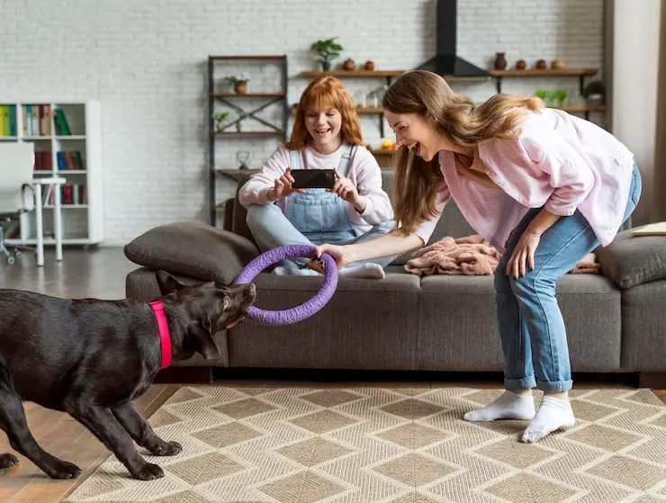 How to Balance Pet Care and Family Responsibilities