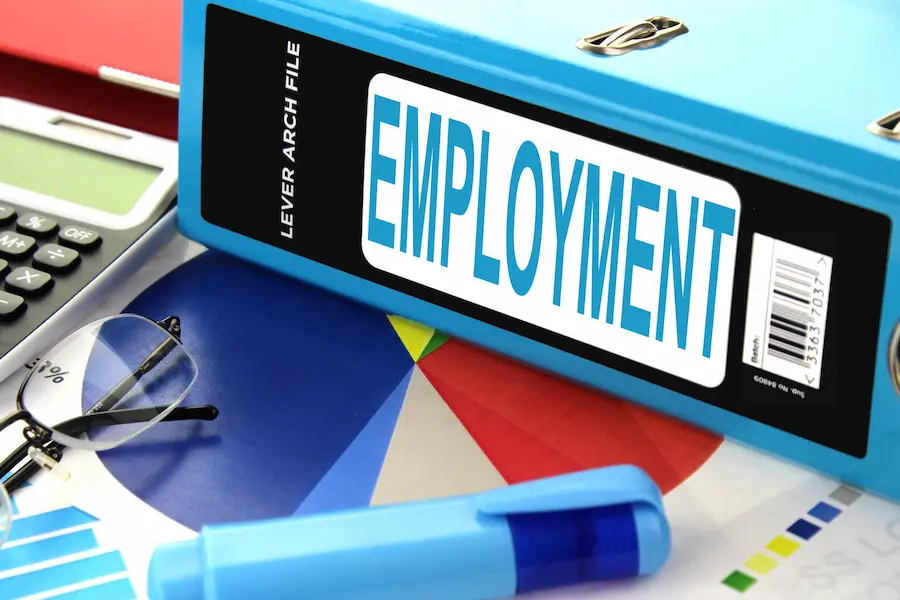 Strategies for Finding Employment With a Disability
