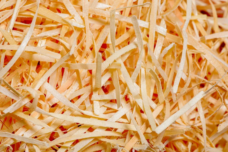 Shredded paper strips inside an industrial waste bin